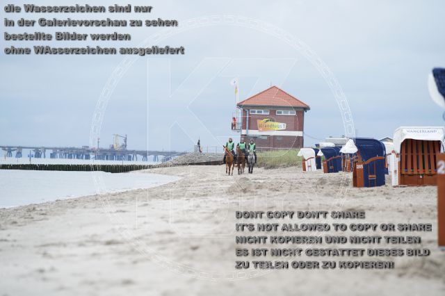 s_K3F04859.JPG